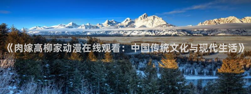动漫天堂电影：《肉嫁高柳家动漫在线观看：中国传统文化与现代生活》