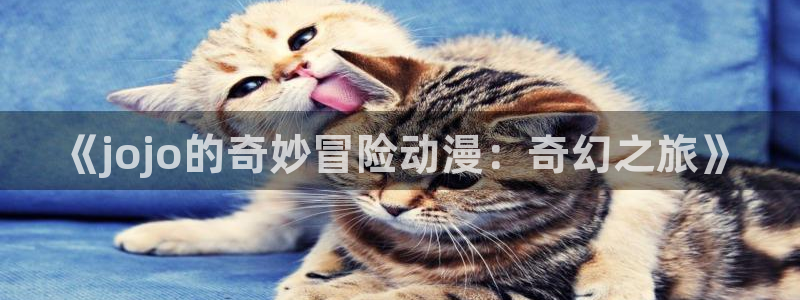 www.动漫天堂