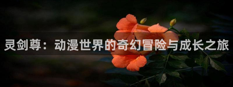 动漫天堂