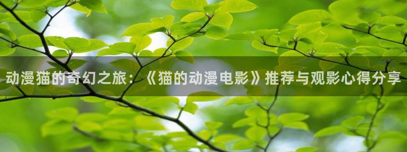动漫天堂免费观看