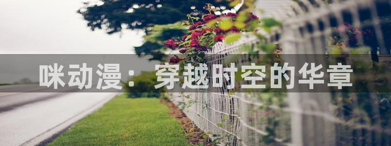 秋叶原动漫天堂