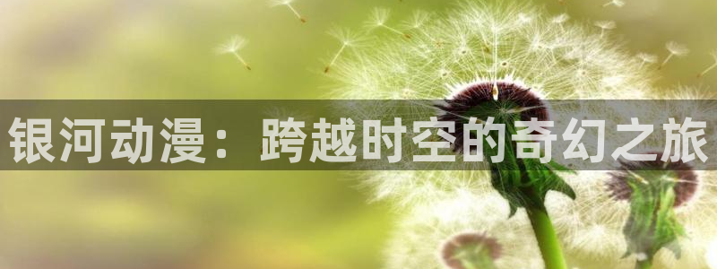 动漫天堂.cc
