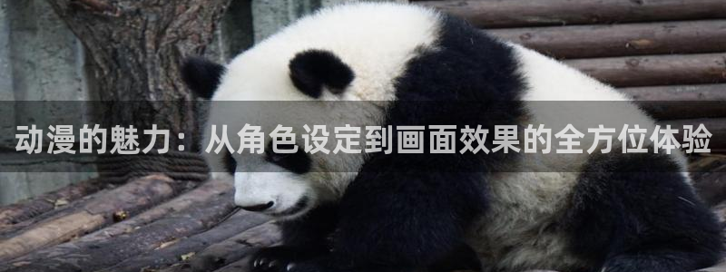 动漫天堂网站