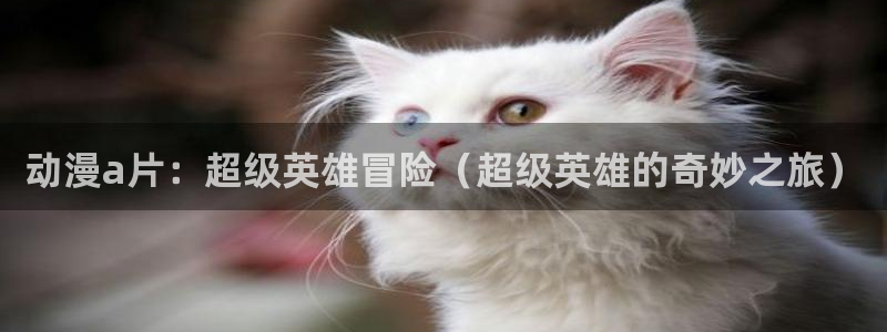 www.动漫天堂