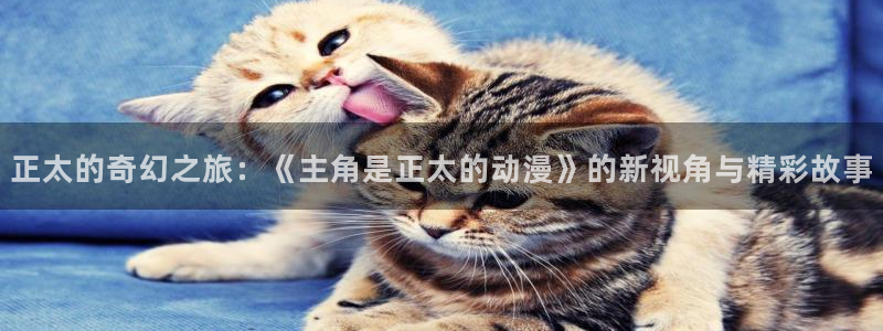 成人动漫天堂网