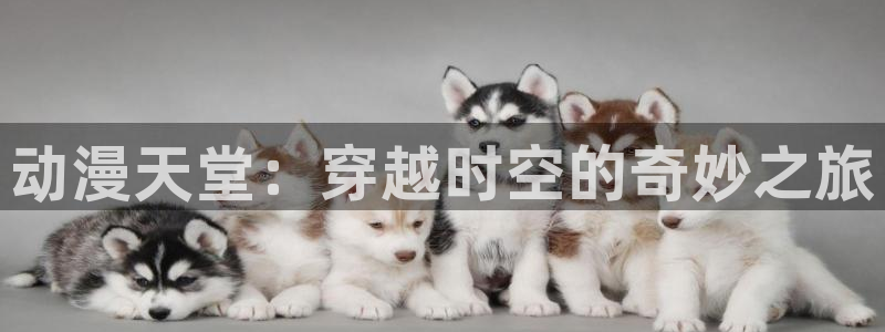 动漫天堂下载