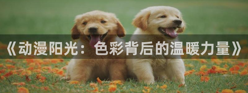 3d动漫天堂网：《动漫阳光：色彩背后的温暖力量》