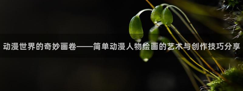 动漫天堂18：动漫世界的奇妙画卷——简单动漫人物绘画的艺术与创作技巧分享