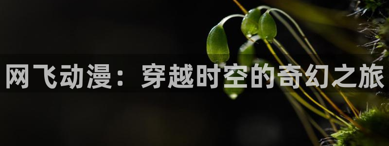 动漫天堂18