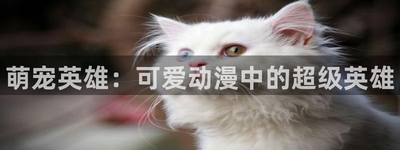 91动漫天堂