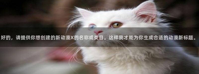 动漫天堂免费下载