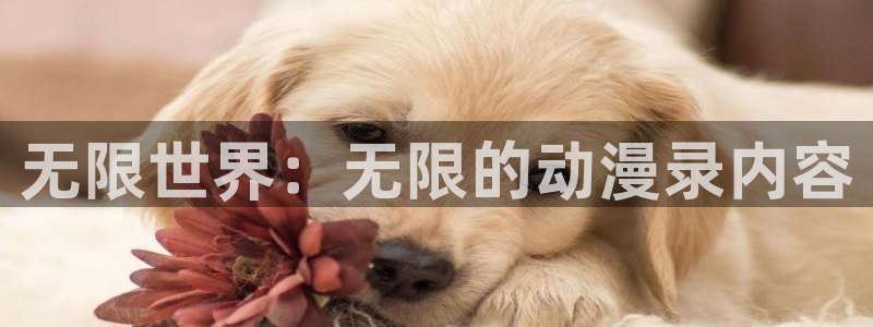 原神动漫天堂免费入口