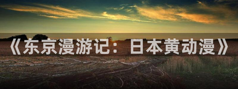 原神动漫天堂免费入口