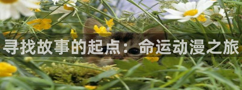 3d动漫天堂