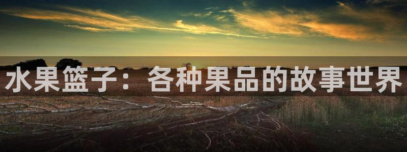 男人动漫天堂在线