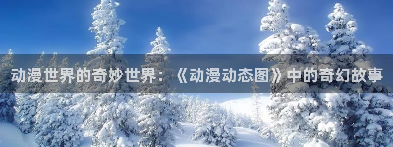 动漫天堂岛