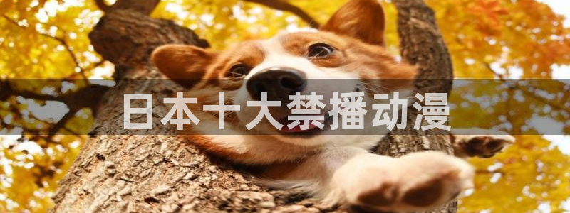 www.动漫天堂