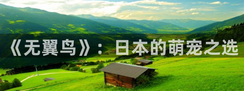 动漫天堂官网