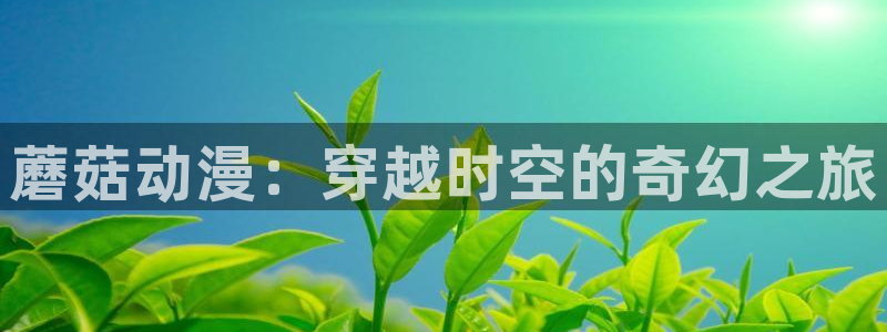 动漫天堂.