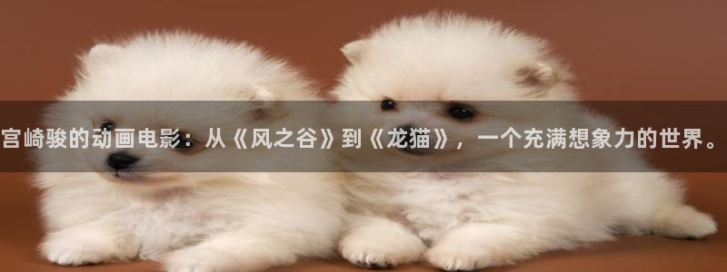 动漫天堂下载官方