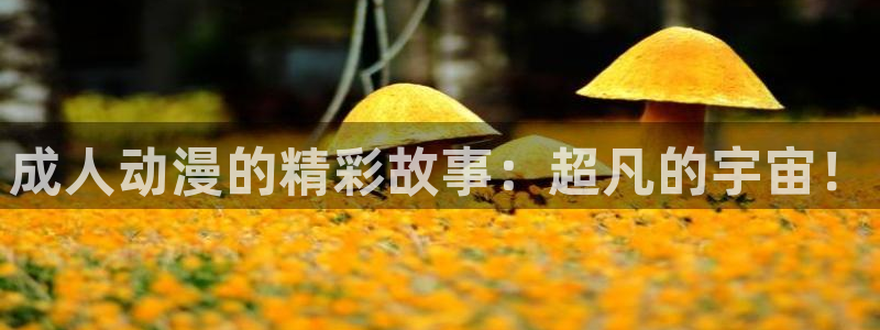 动漫天堂下载最新版