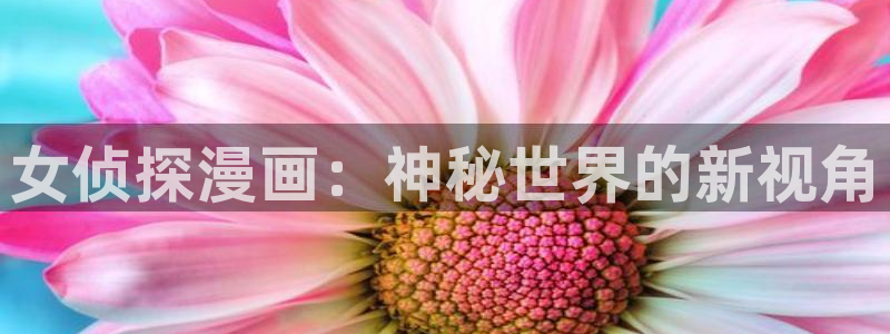 h动漫天堂