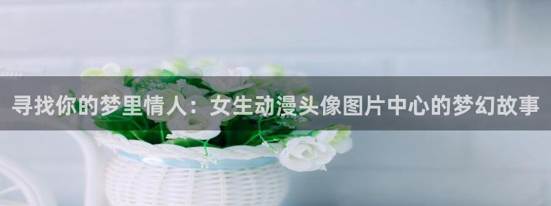 动漫天堂岛