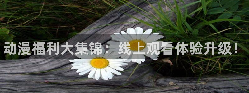 动漫天堂