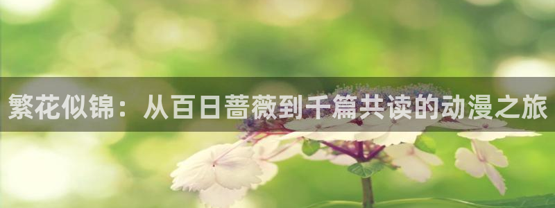动漫天堂91