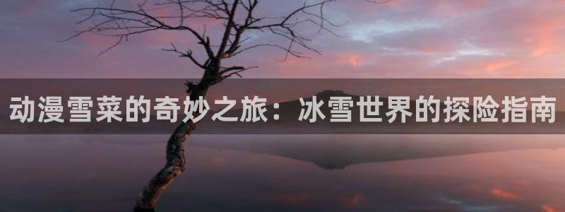 黄动漫天堂：动漫雪菜的奇妙之旅：冰雪世界的探险指南