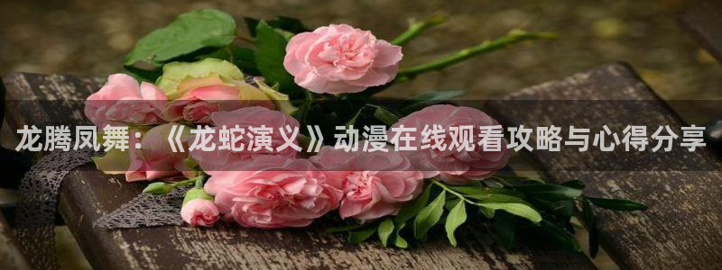 动漫天堂电影