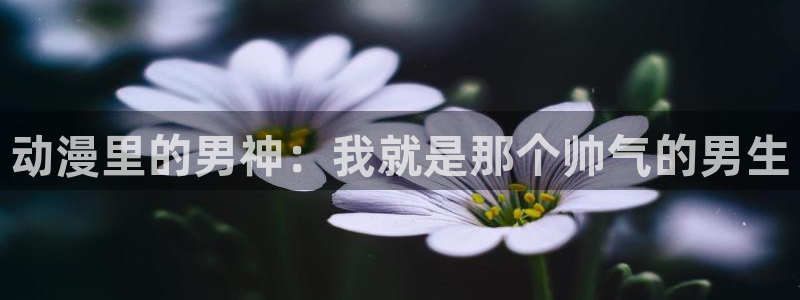 动漫天堂18：动漫里的男神：我就是那个帅气的男生