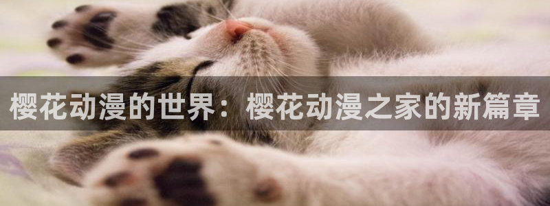 动漫天堂免费