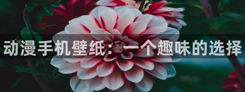 jk动漫天堂