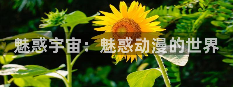 www.动漫天堂