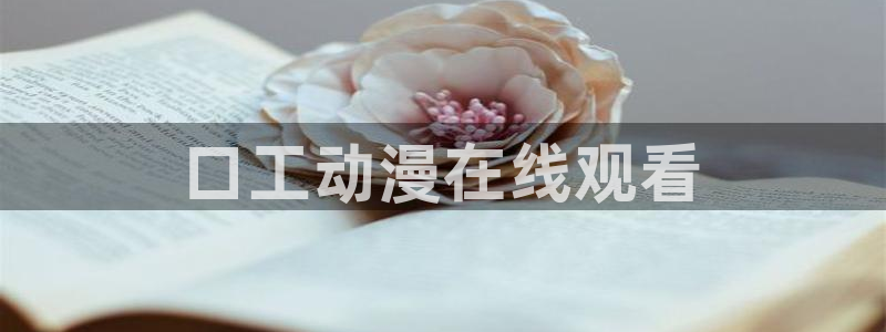 动漫天堂软件