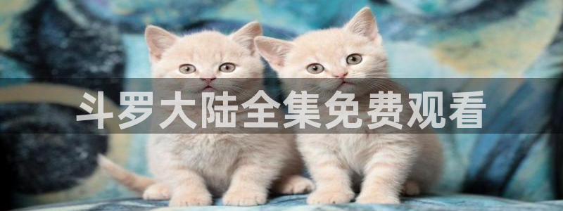 动漫天堂官网