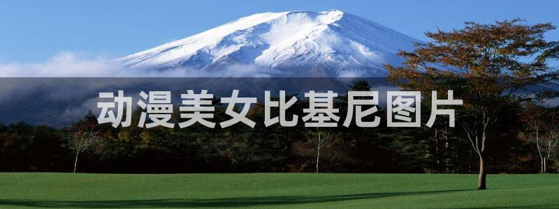 动漫天堂下载安装最新版