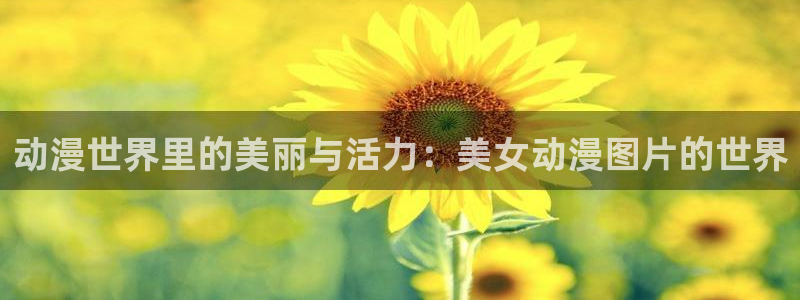 动漫天堂官方正版下载