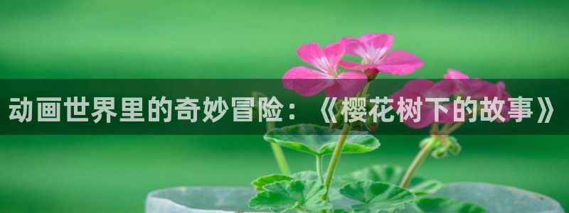 动漫天堂91