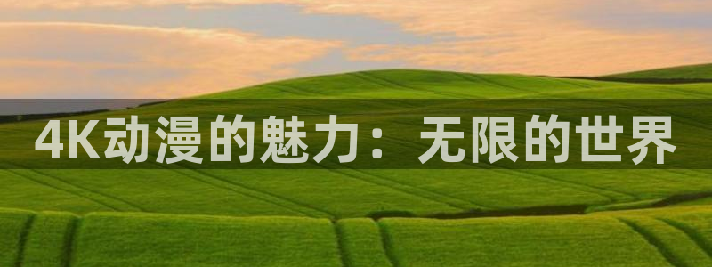 coco动漫天堂