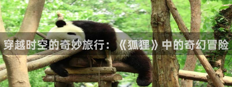 acg动漫天堂