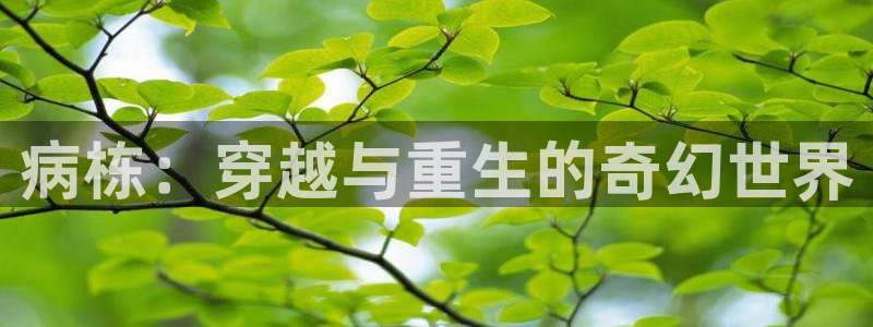 av动漫天堂网
