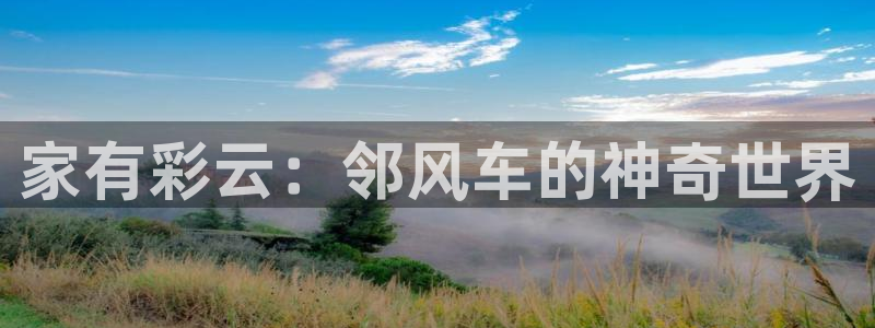 禁动漫天堂