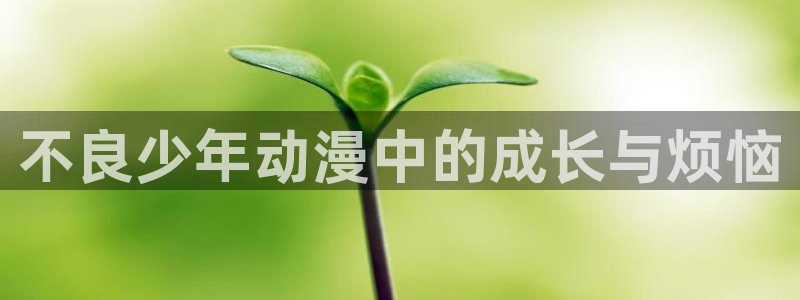 动漫天堂在线免费观看：不良少年动漫中的成长与烦恼